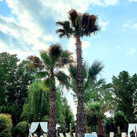 Апартаменты Aphrodite Roce Σάνι Μπιτς Εξωτερικό φωτογραφία